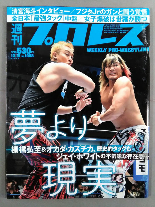 Weekly Pro Wrestling 1988