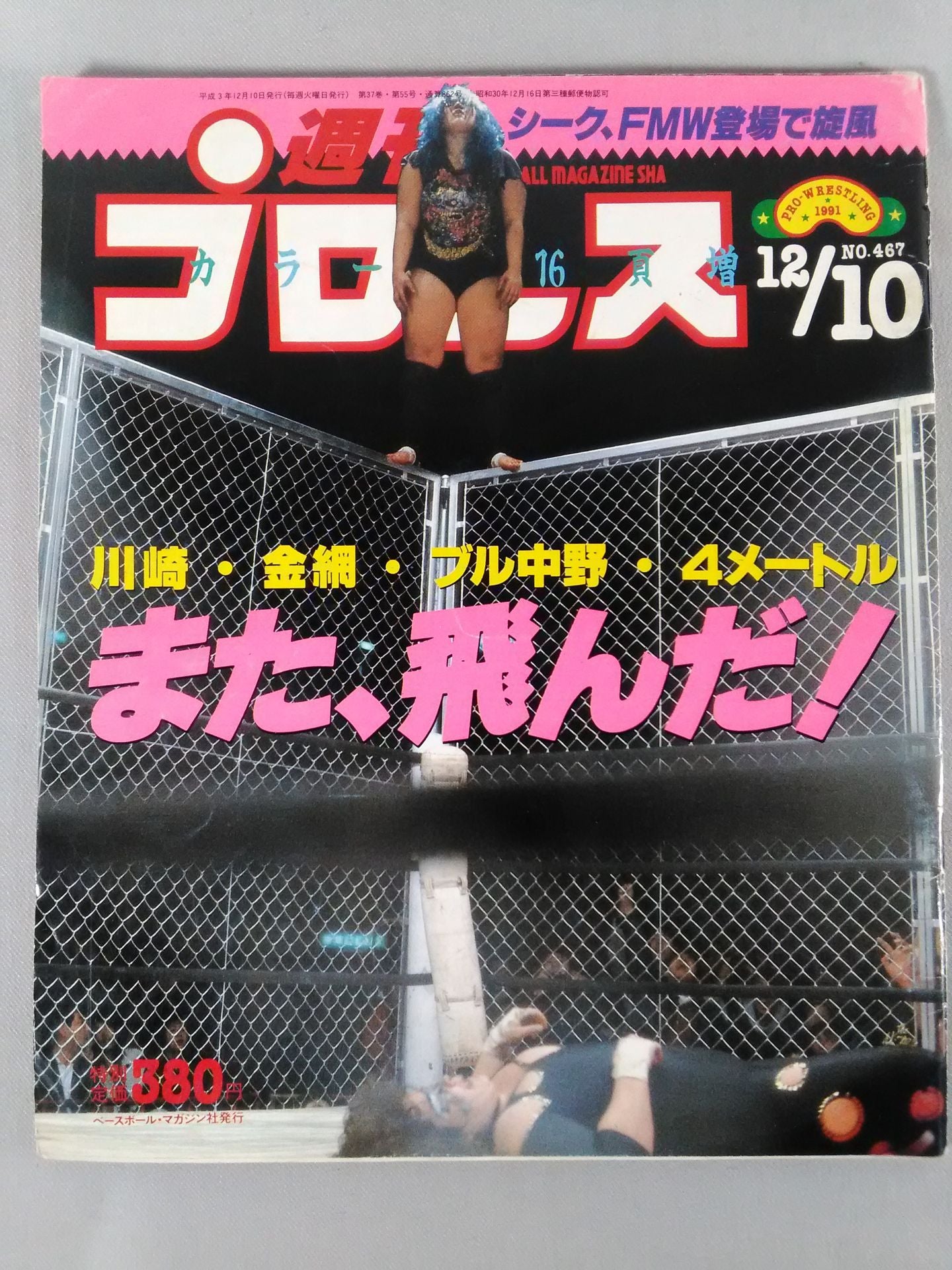 Weekly Pro Wrestling 467