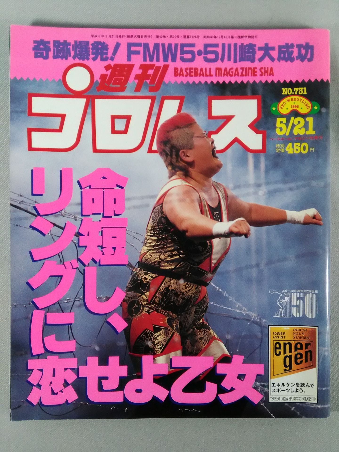 Weekly Pro Wrestling 731