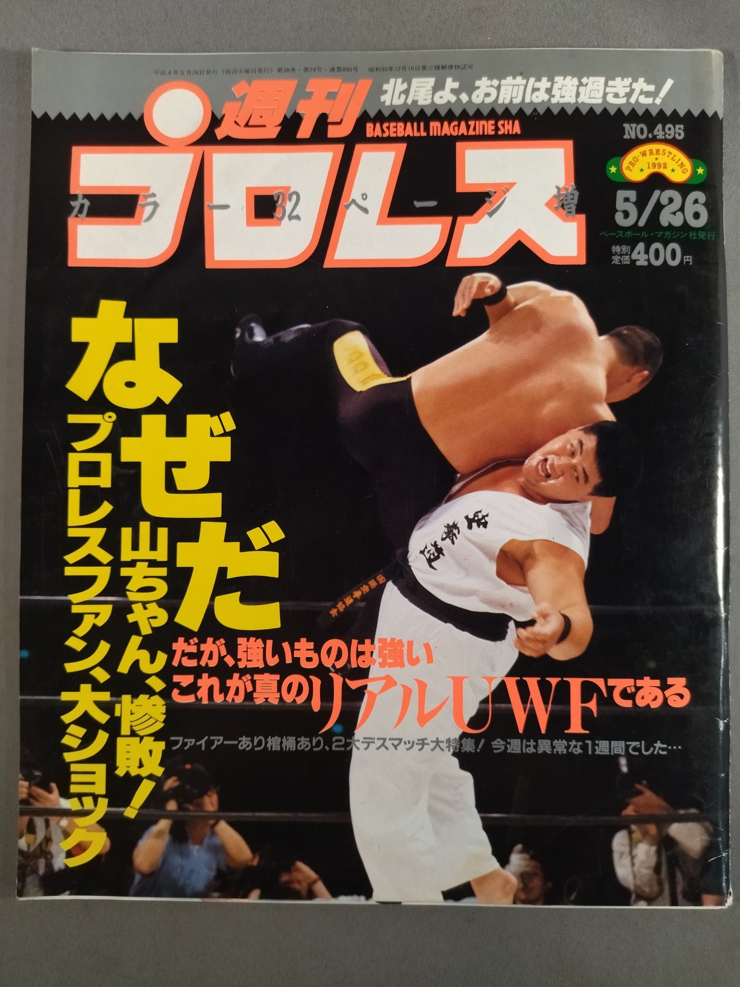 Weekly Pro Wrestling 495