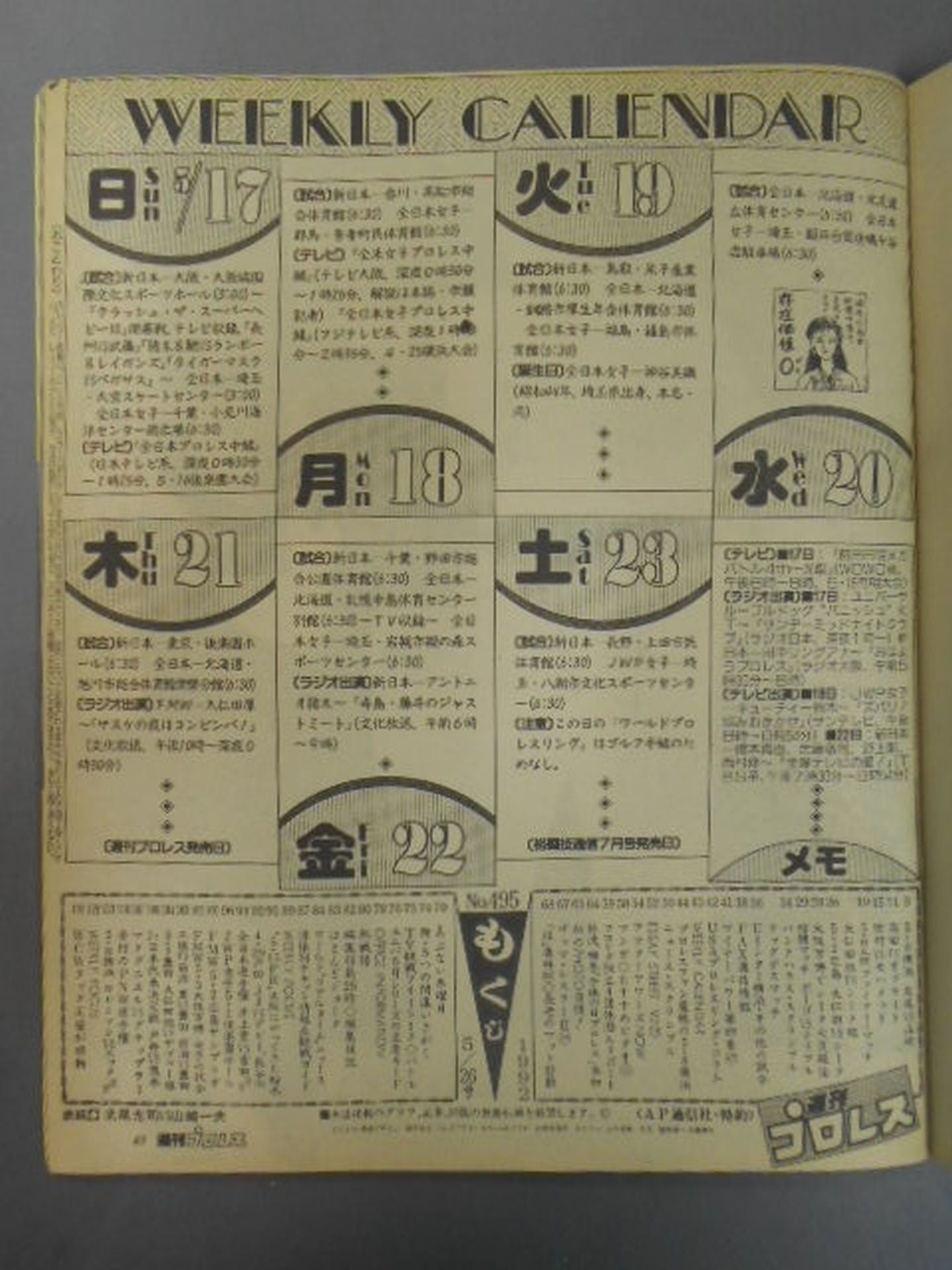 Weekly Pro Wrestling 495