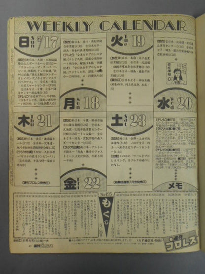 Weekly Pro Wrestling 495