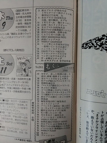 週刊プロレス261