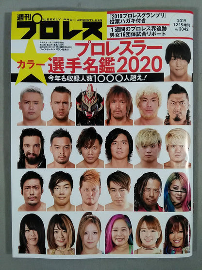 Weekly Pro Wrestling  2042