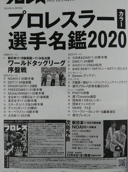 Weekly Pro Wrestling  2042