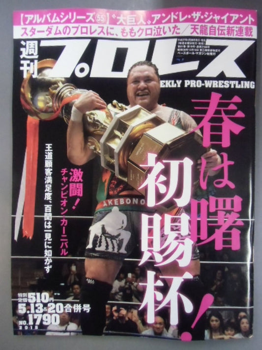 Weekly Pro Wrestling 1790
