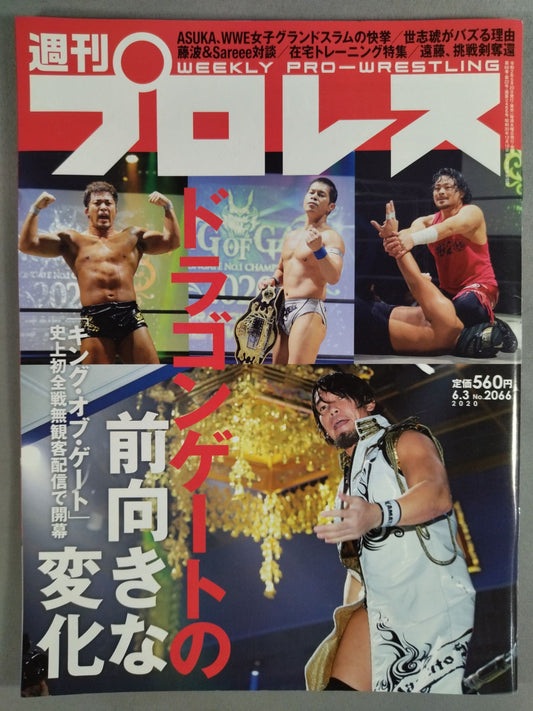 Weekly Pro Wrestling 2066