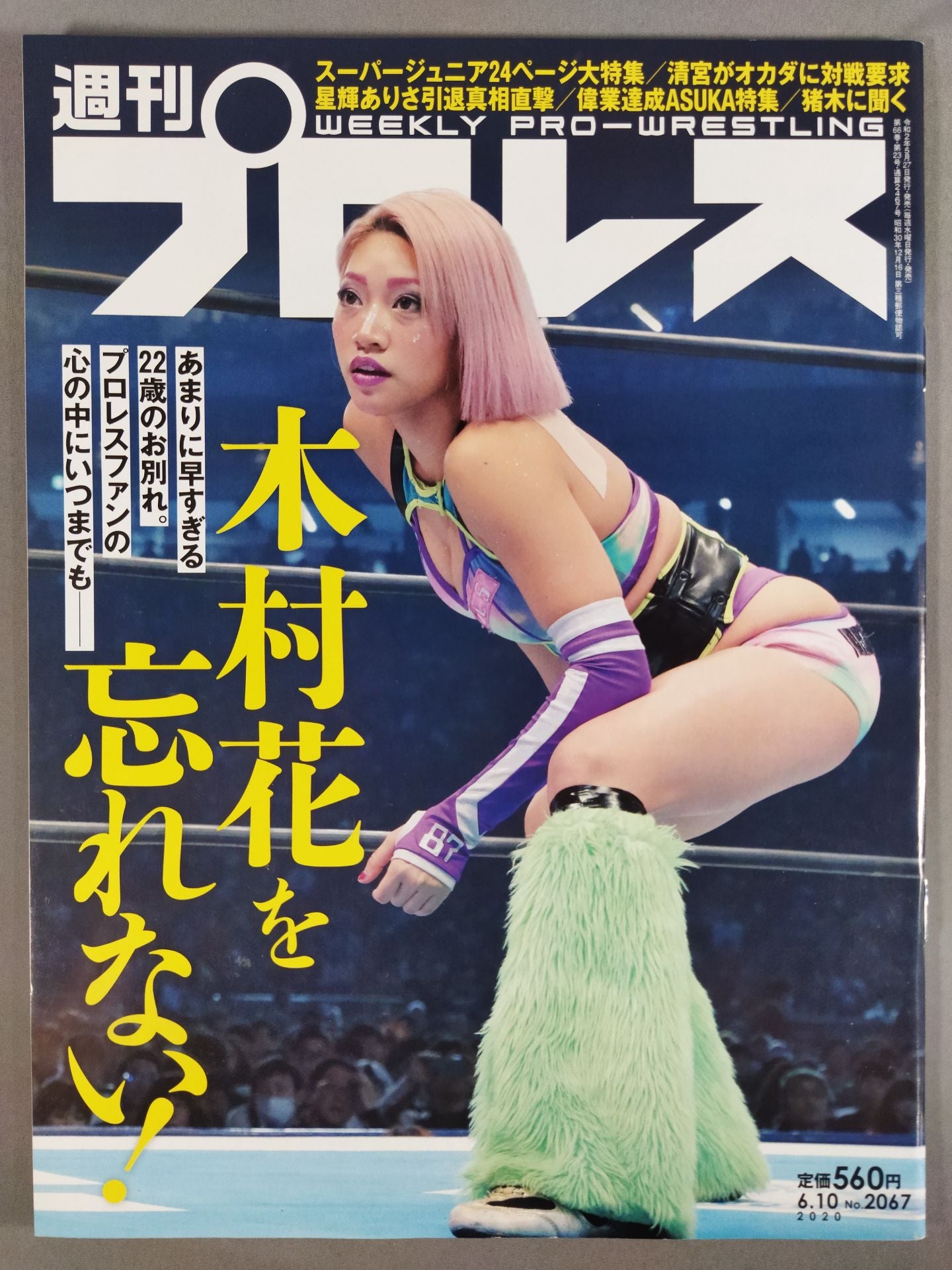 Weekly Pro Wrestling 2067