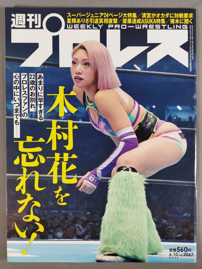 Weekly Pro Wrestling 2067