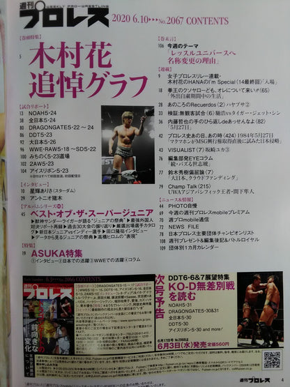 Weekly Pro Wrestling 2067