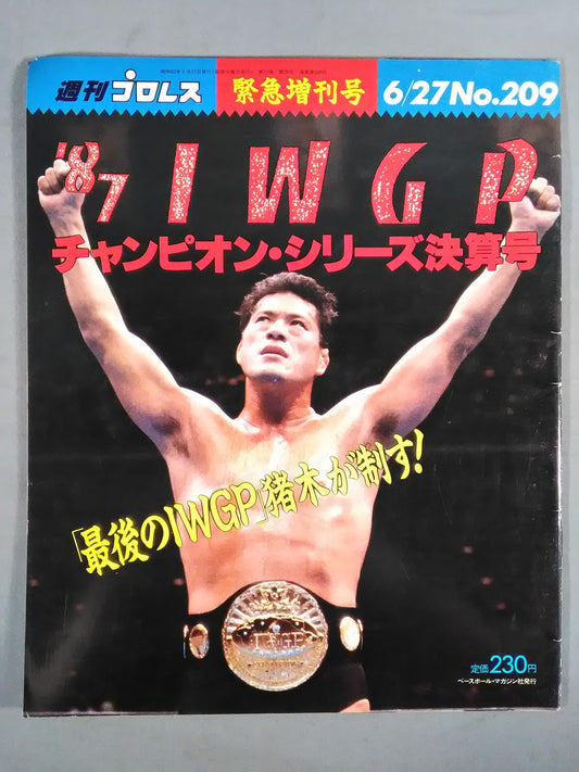 Weekly Pro Wrestling 209