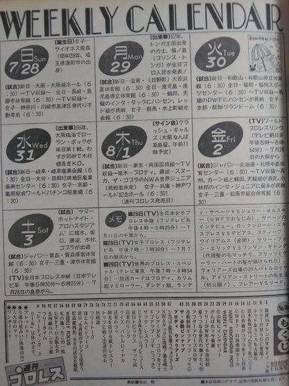 Weekly Pro Wrestling  104