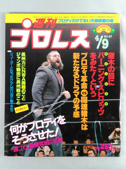 Weekly Pro Wrestling 87