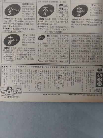 Weekly Pro Wrestling 87