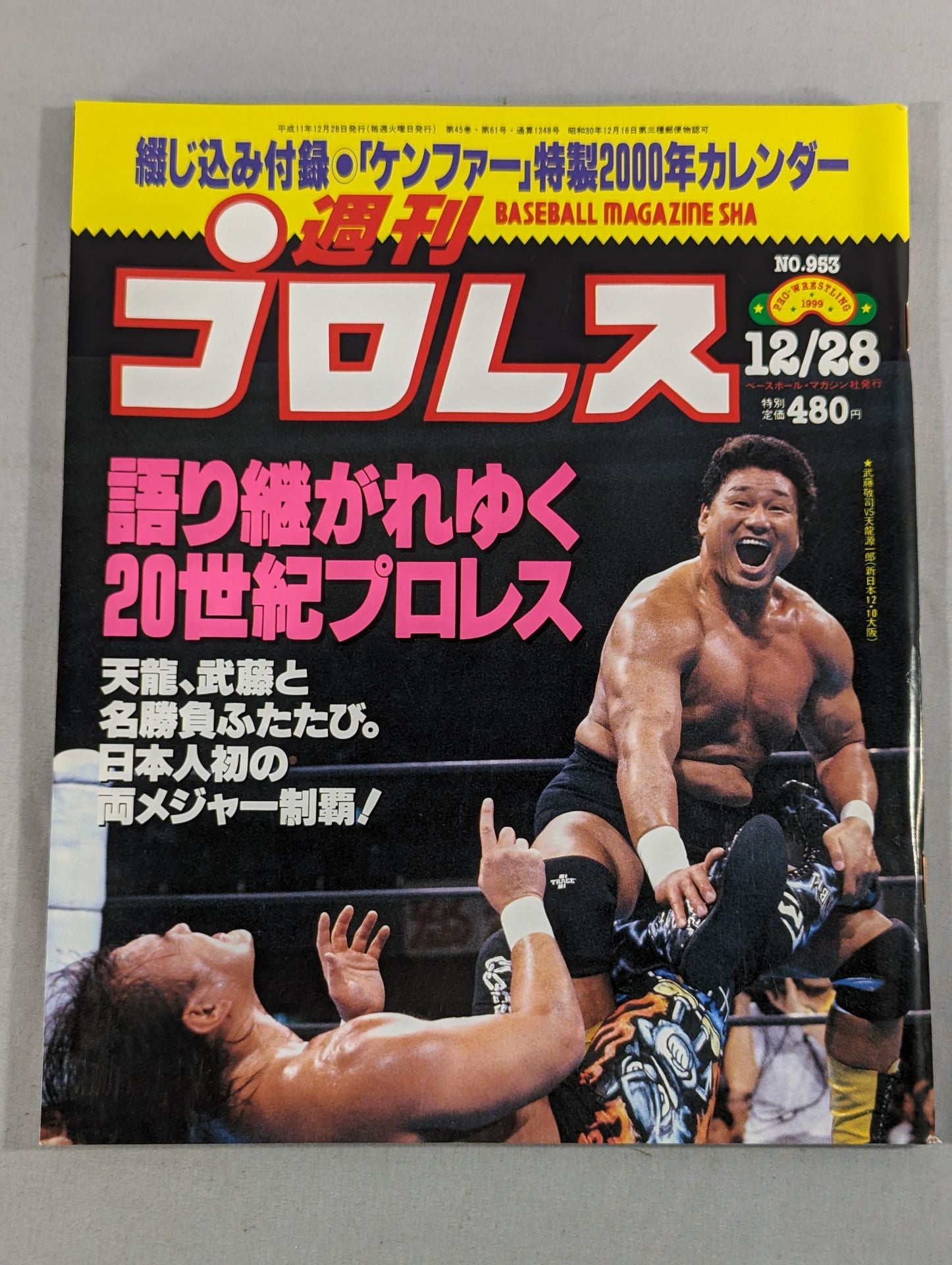 週刊プロレス953 – 闘道館
