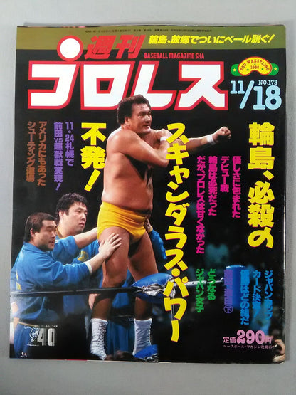 Weekly Pro Wrestling 173