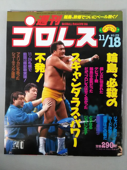 Weekly Pro Wrestling 173