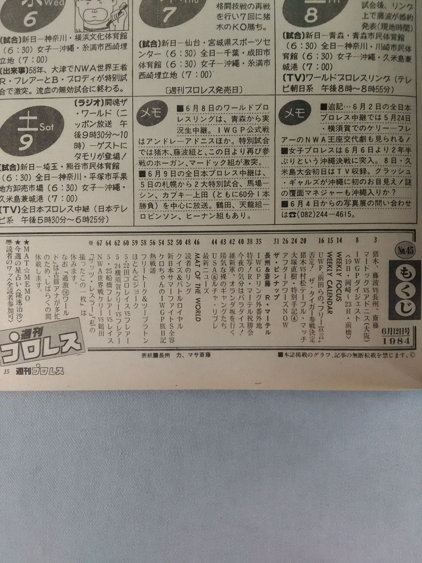 Weekly Pro Wrestling 45