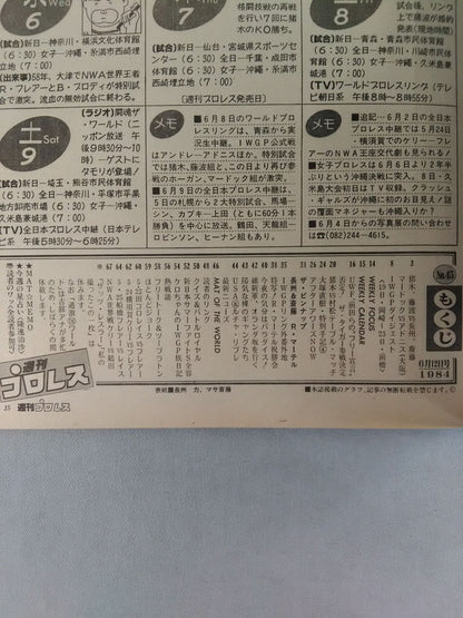 Weekly Pro Wrestling 45
