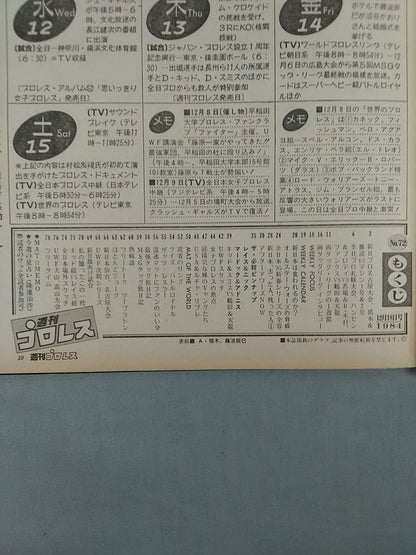 Weekly Pro Wrestling 72