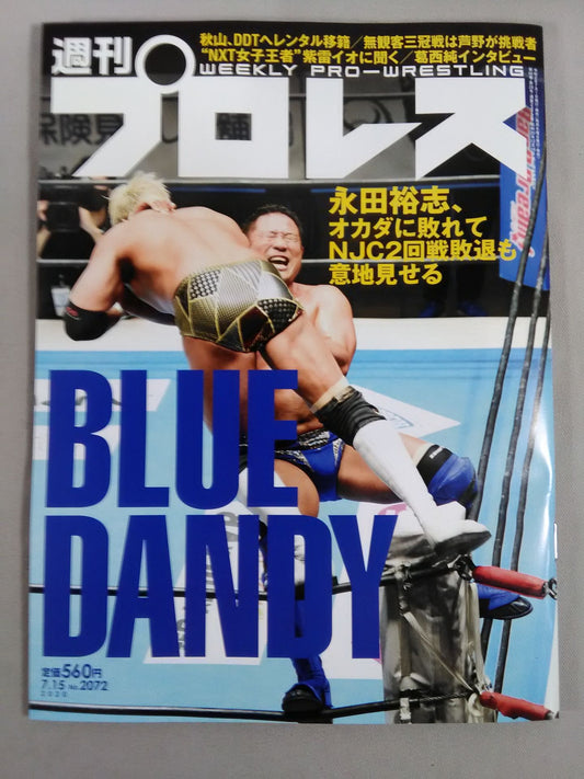 Weekly Pro Wrestling 2072
