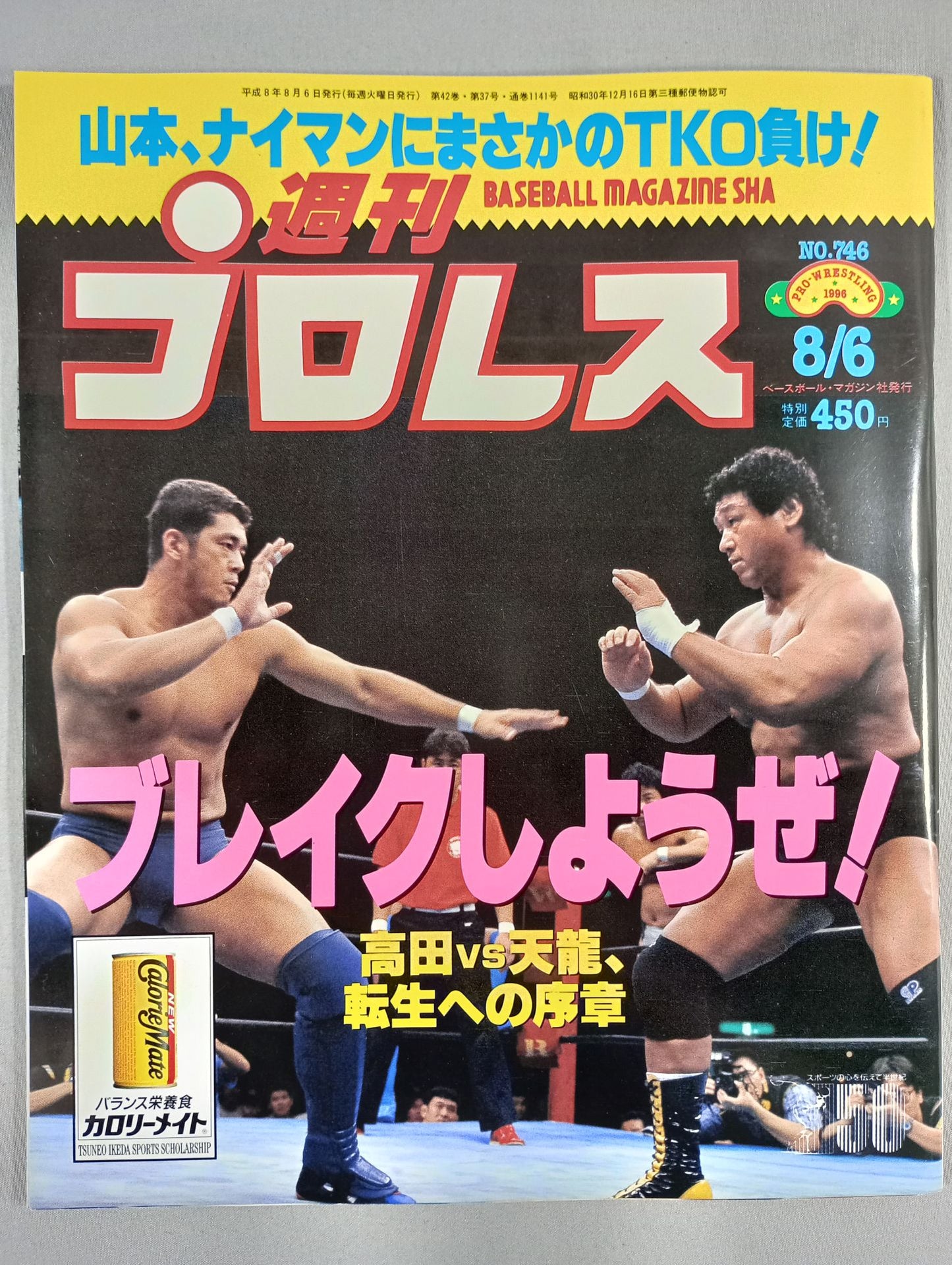 Weekly Pro Wrestling 746