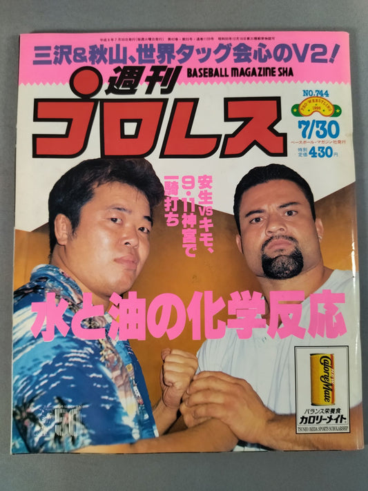 Weekly Pro Wrestling 744