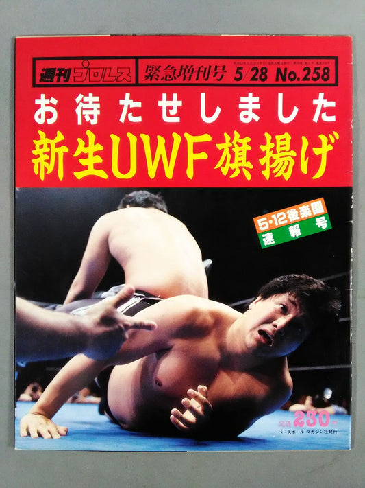 Weekly Pro Wrestling 258