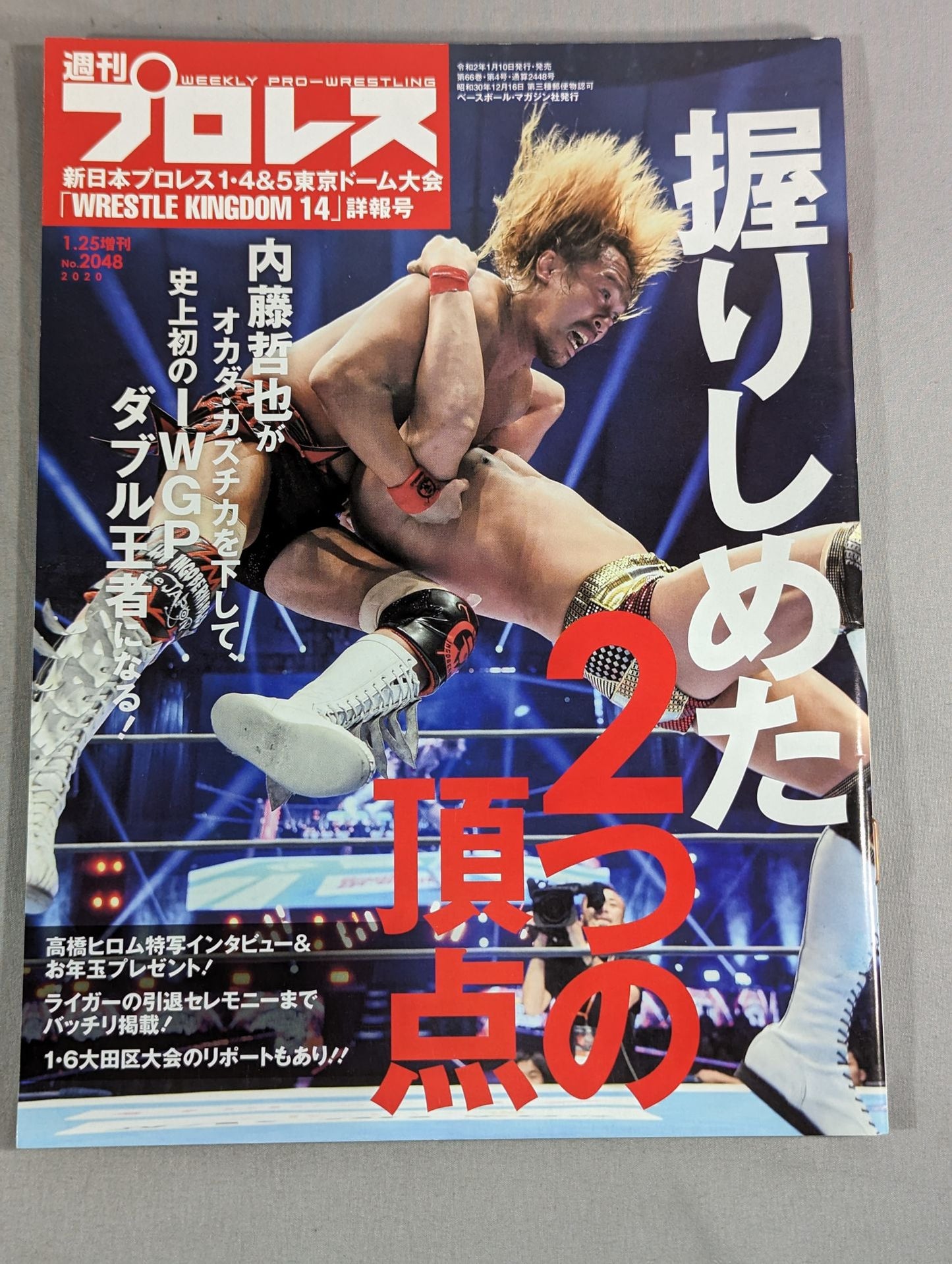 Weekly Pro Wrestling 2048