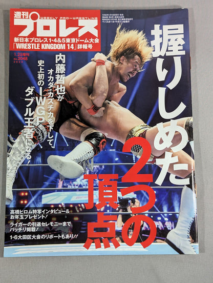 Weekly Pro Wrestling 2048