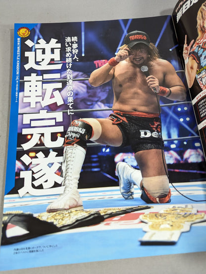 Weekly Pro Wrestling 2048