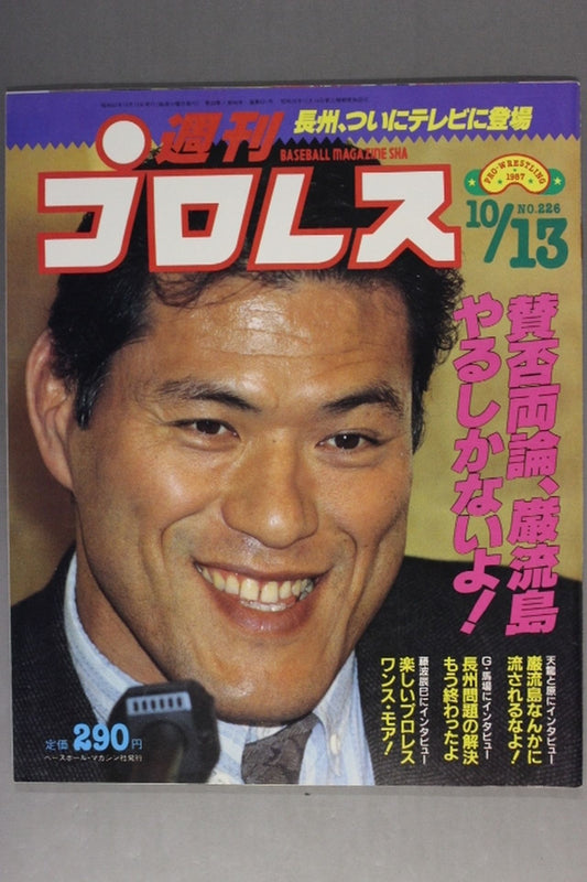 Weekly Pro Wrestling 226