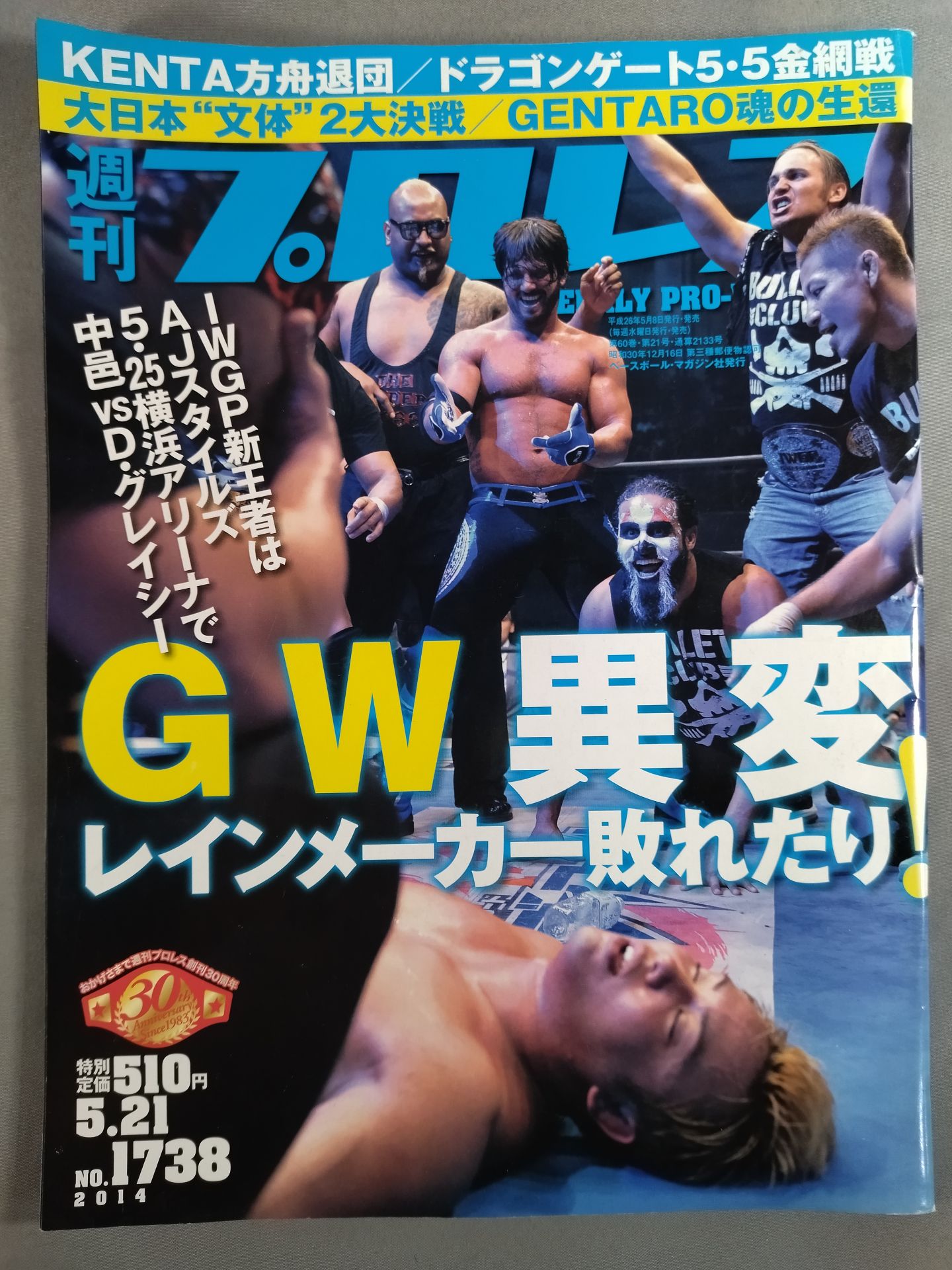 Weekly Pro Wrestling 1738