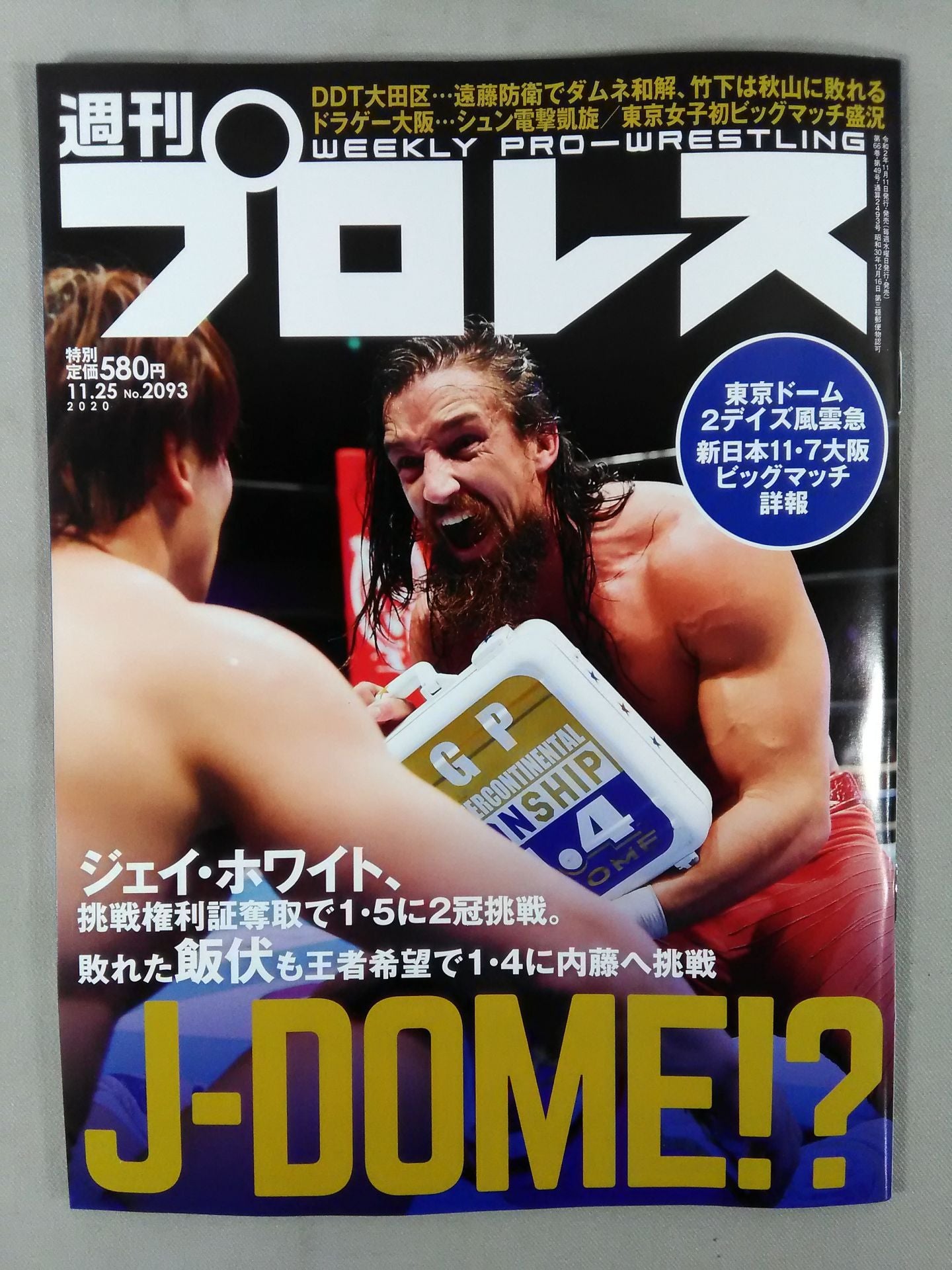 Weekly Pro Wrestling 2093