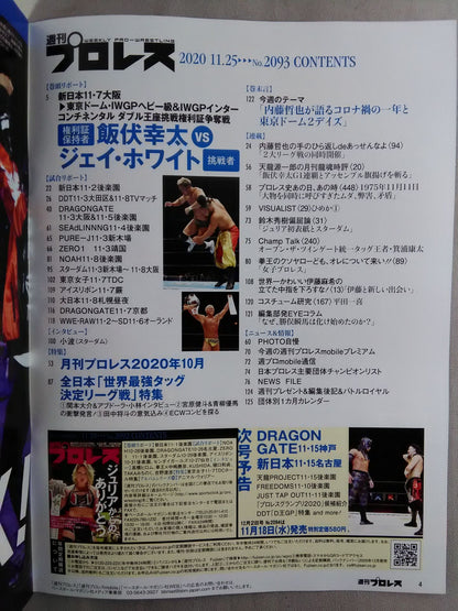 Weekly Pro Wrestling 2093