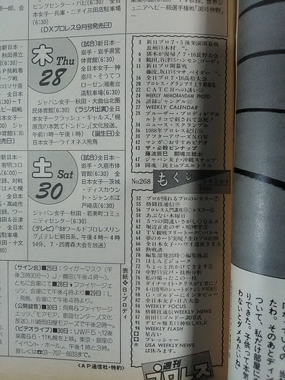 Weekly Pro Wrestling 268