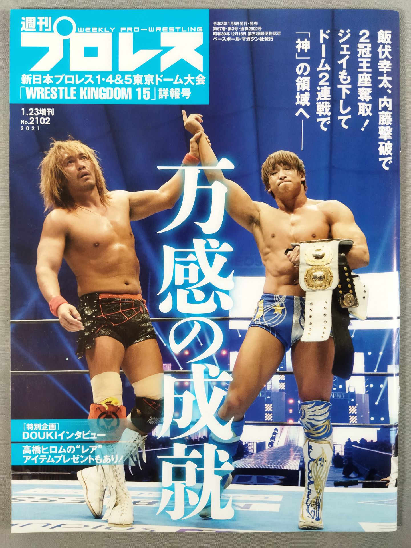 Weekly Pro Wrestling 2102