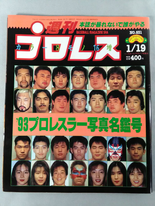 Weekly Pro Wrestling 531