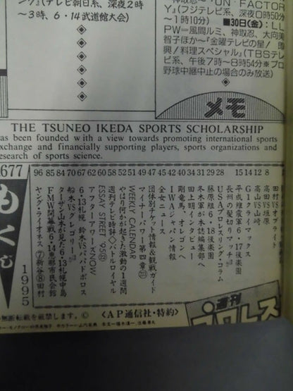 Weekly Pro Wrestling 677