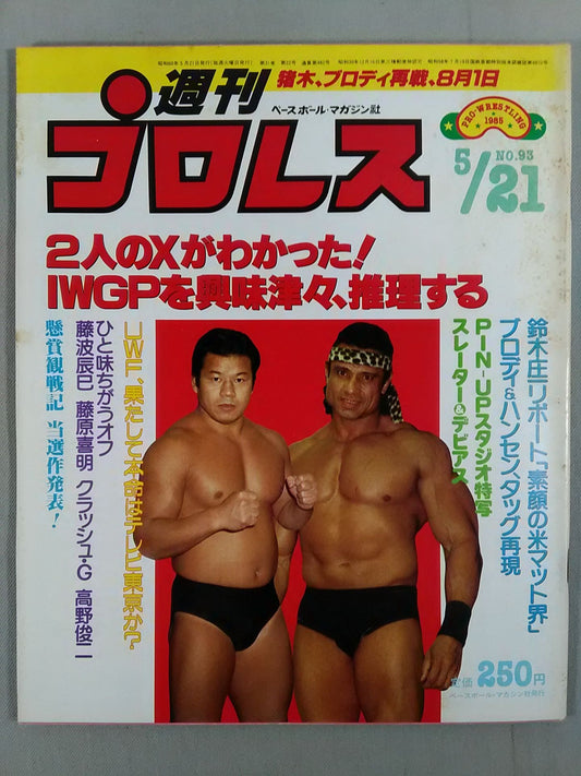 Weekly Pro Wrestling 93