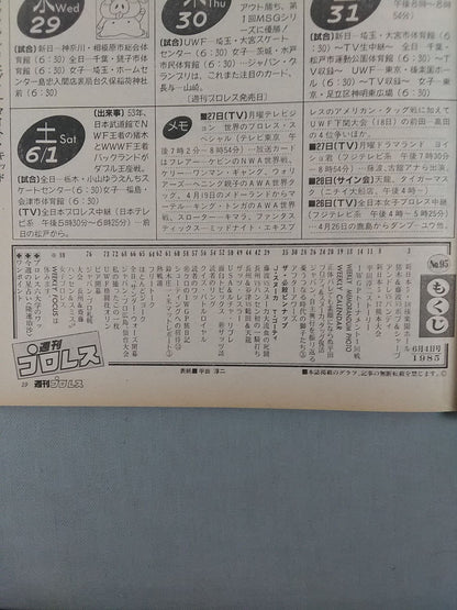 週刊プロレス95