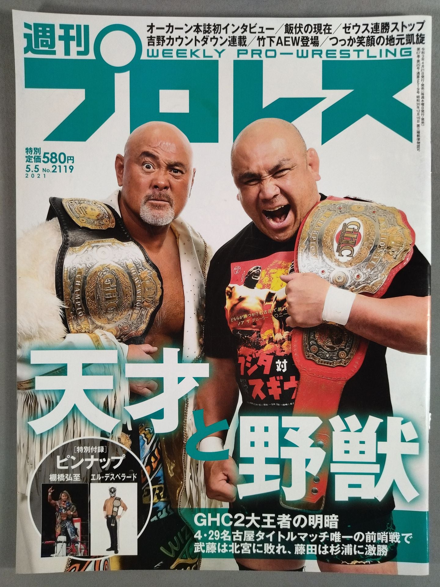 週刊プロレス2119