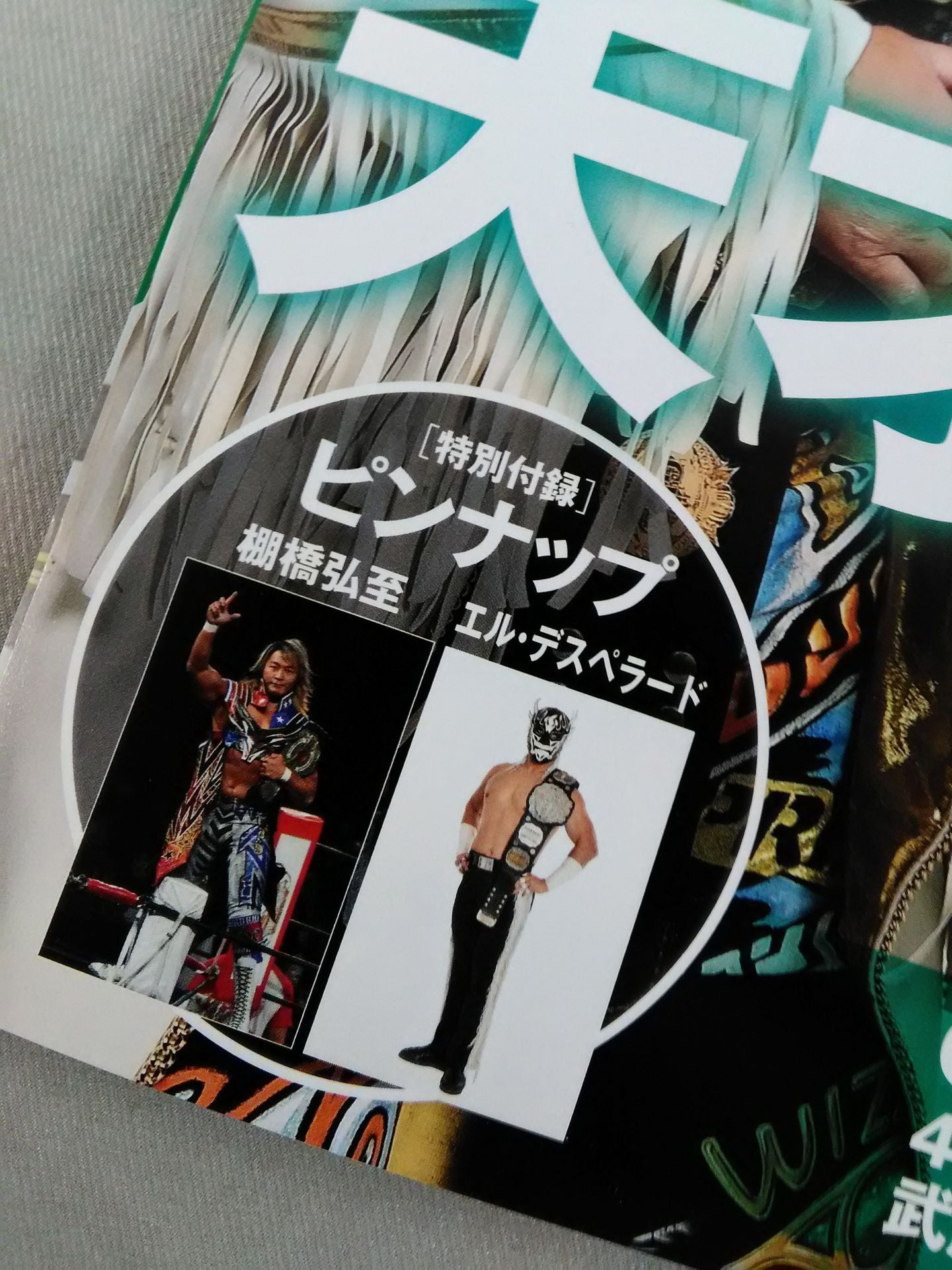 週刊プロレス2119