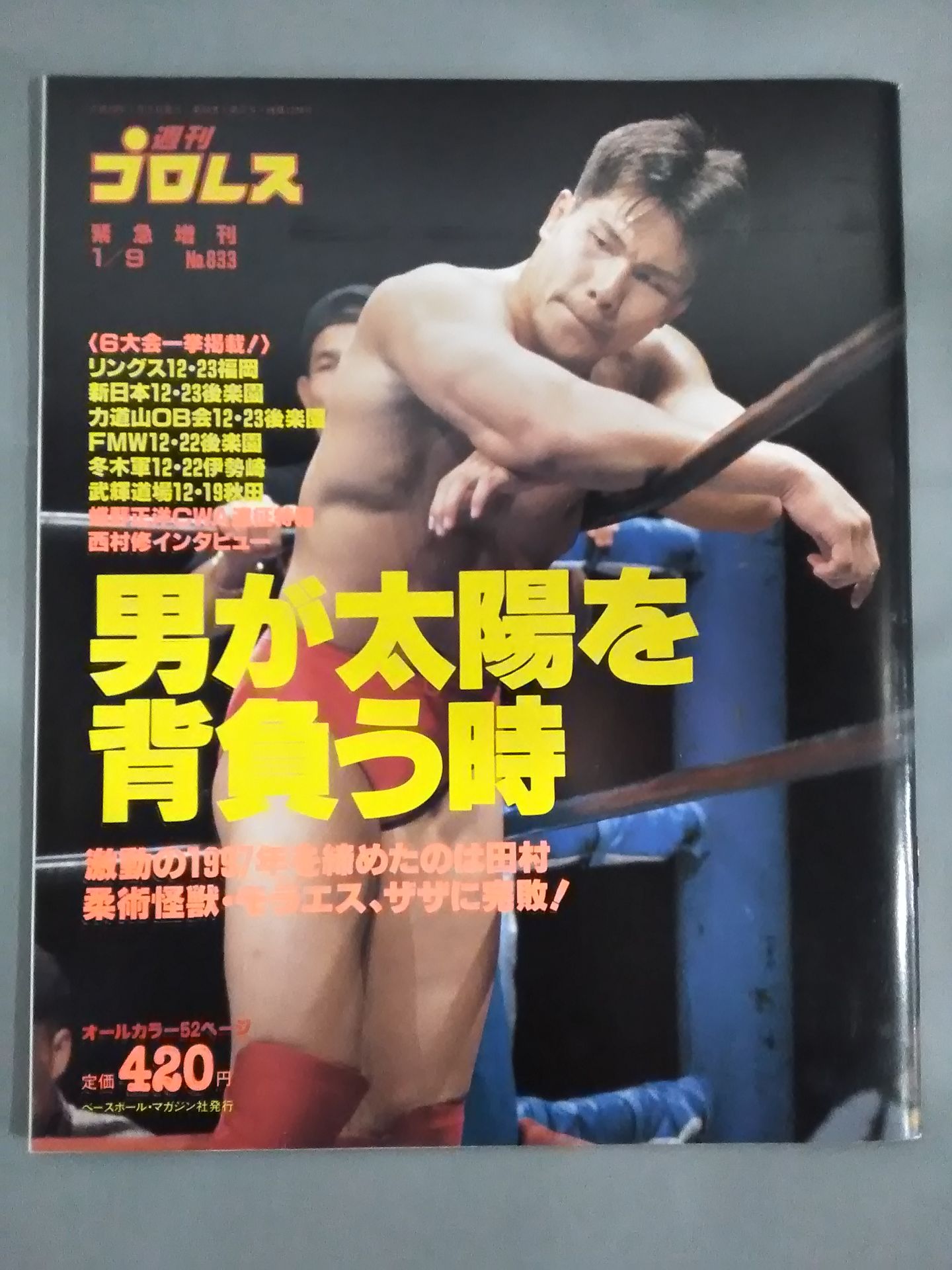 Weekly Pro Wrestling 833