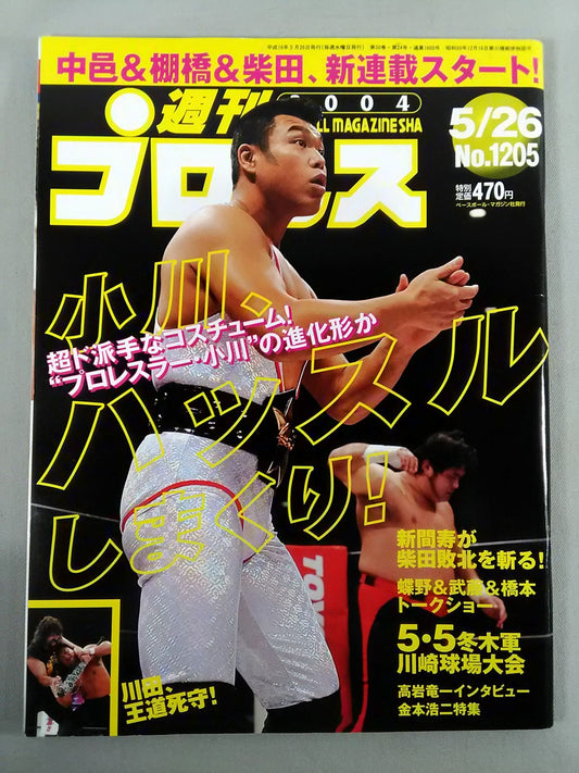 Weekly Pro Wrestling 1205
