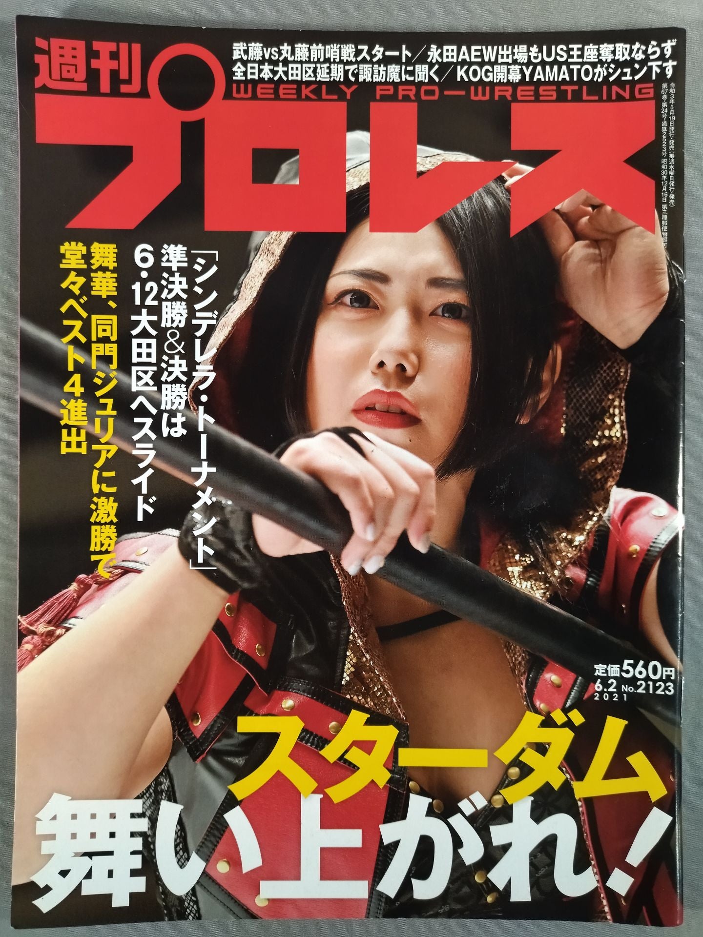 Weekly Pro Wrestling 2123