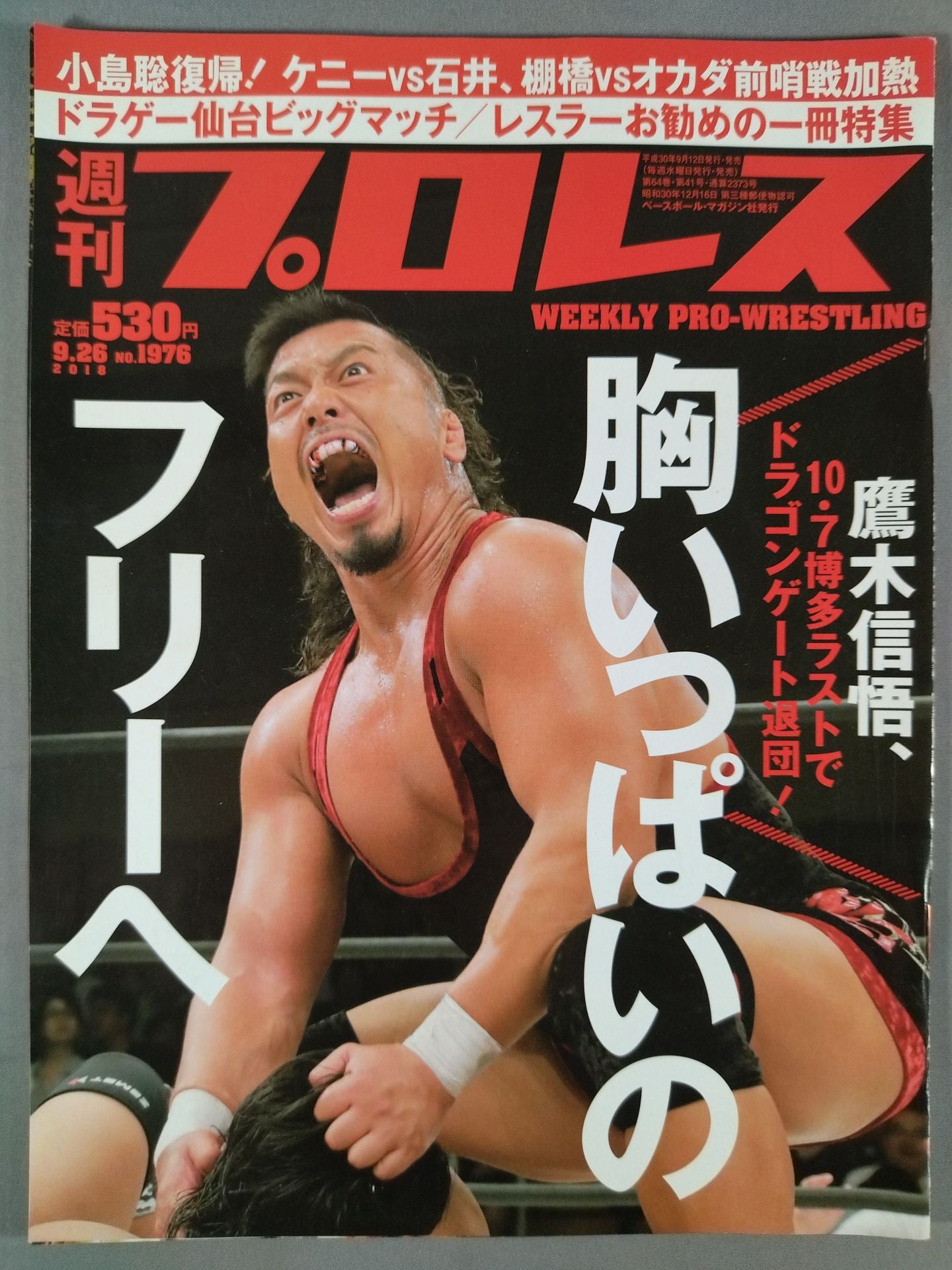 Weekly Pro Wrestling  1976