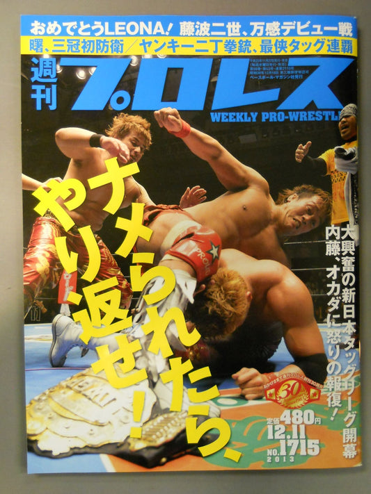 Weekly Pro Wrestling 1715