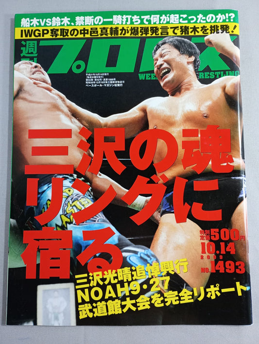 Weekly Pro Wrestling 1493