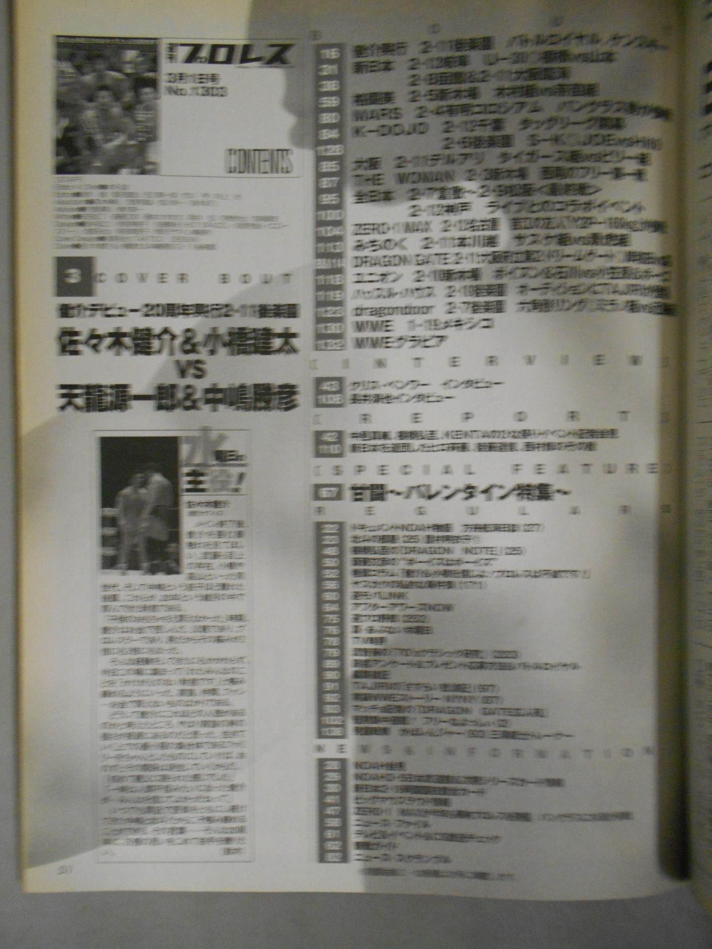 週刊プロレス1303